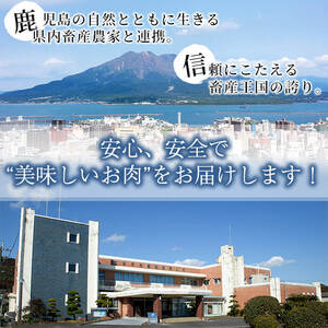 【数量限定】鹿児島茶美豚スライスセット計1.2kg! 国産 鹿児島産 豚 豚肉 豚バラ バラ ロース 肩ロース スライスしゃぶしゃぶ しょうが焼き 肉巻き 炒め物小分け 冷凍 おかず 国産豚 肉 精肉