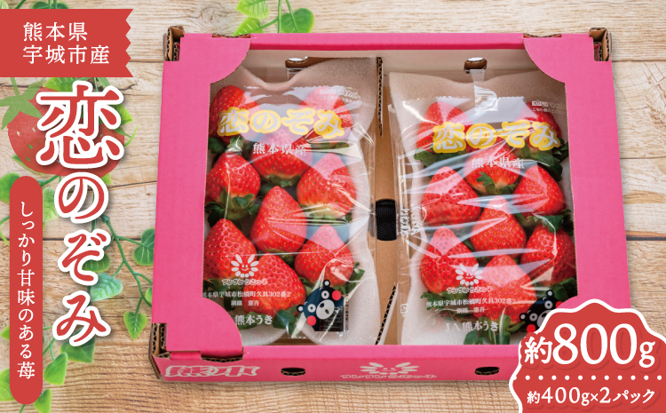 【2025年12月上旬〜2026年3月下旬頃発送予定】いちご 恋のぞみ 約400g×2パック 合計約800g