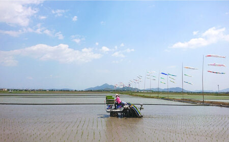 【先行予約・25年11月以降順次発送】特別栽培米『榮米』きらみずき 2kg 栗東市 / AMAファミリーズ榮農場[BIAI022]