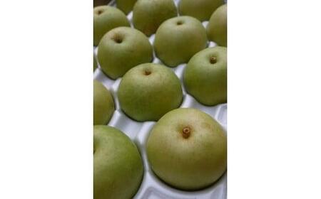 二十世紀梨 2.5kg【たにがみ農園】