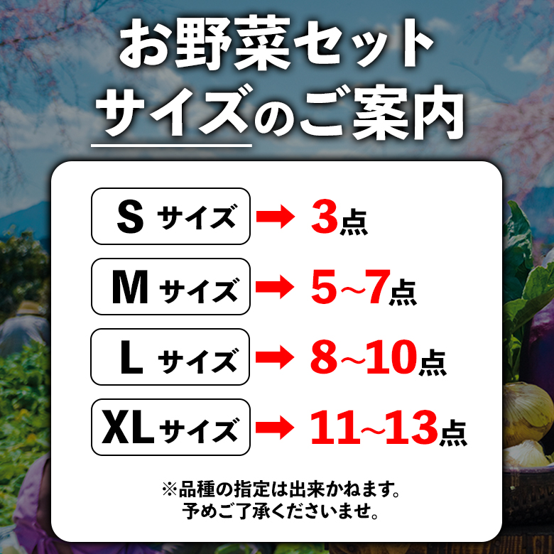 【選べる内容量】季節の お野菜 セット Sサイズ（3品） 詰め合わせ やさい 果物 新鮮 減農薬 高原 旬 産地直送 採れたて 朝採れ みずみずしい 甘い 美味しい 人気 安心 安全 おすすめ お中元