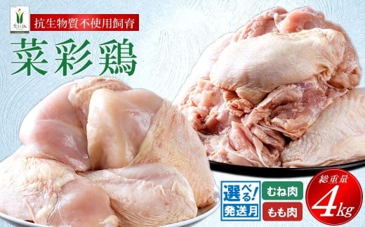 【12月発送分】岩手県産 「菜彩鶏」 もも肉、むね肉４kgセット（各1kg×2袋 計4kg）国産 鶏肉 ブランド 鶏 もも むね カットなし 選べる 発送月 冷凍 大容量 業務用 チキン 1.0kg入 計 4.0kg 若鶏 送料無料