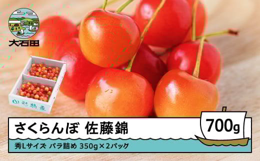さくらんぼ 佐藤錦 秀Lサイズ バラ詰め 700g(350g×2パック) 2026年産 令和8年産 山形県産 ふるさと納税 果物 くだもの フルーツ 期間限定 冷蔵配送 先行受付 グルメ 取り寄せ ご当地 特産 産地 直送 送料無料 東北 山形県 人気山形県産 ns-snslb700