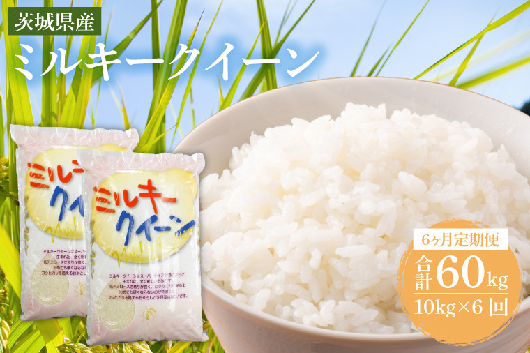 
                  【6ヶ月定期便】茨城県産ミルキークイーン 10kg (5kg×2袋) 【米 お米 白米 精米  おにぎり 茨城県産 鹿嶋市 国産 送料無料】 (KY-9)
                