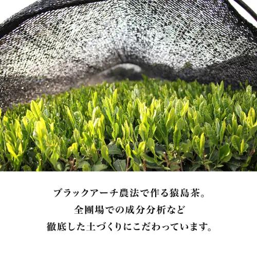 猿島茶の濃いお茶のアイス 7個 アイスクリーム  アイス 猿島茶