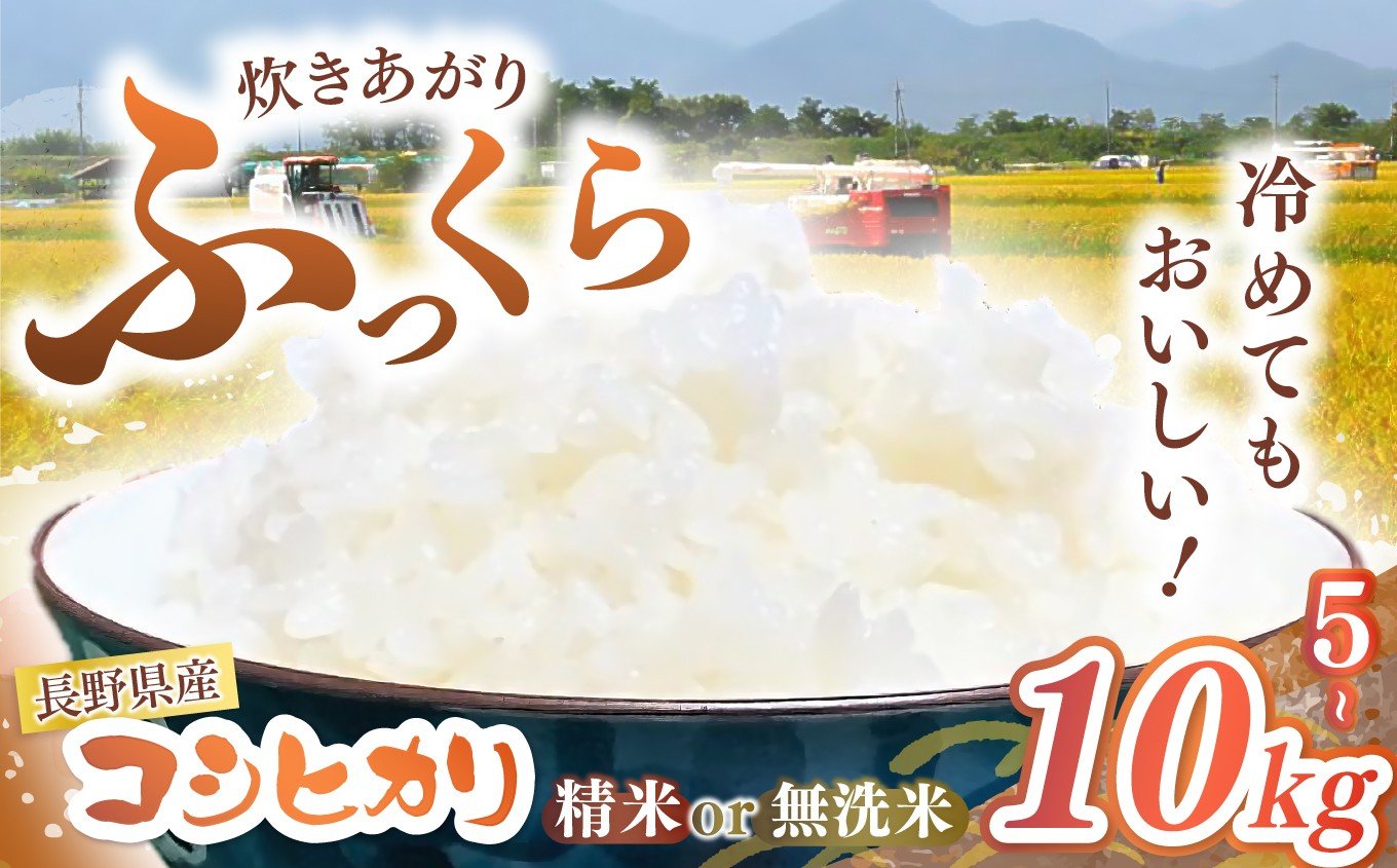 
            【令和7年度産】長野県産 コシヒカリ 選べる精米歩合（精米 / 無洗米）・ 選べる内容量 （5kg / 10kg） | 米 こめ コメ お米 白米 はくまい 精米 無洗米 コシヒカリ 長野県 松川村 信州
          