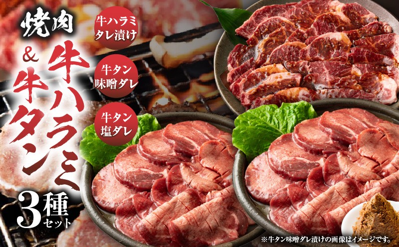 
            「牛ハラミ」&「牛タン」　焼肉3種セット　各250g(計750g)_mk146-140
          