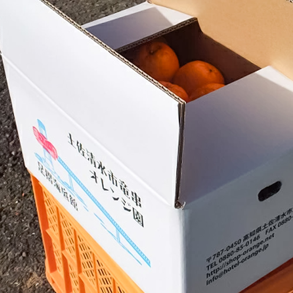 【令和9年発送】＜訳あり＞ ぽんかん20kg（オレンジ園） デコポンの親 みかん ミカン 果物 果実 柑橘 フルーツ ポンカン でこぽん おやつ デザート 甘い 美味しい 家庭用 名物 国産【R010