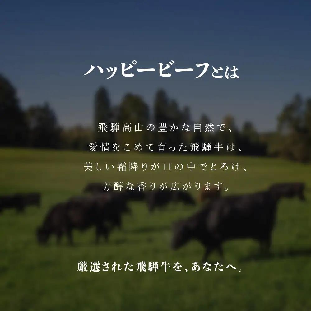 【年末お届け】飛騨牛 A5等級 ロース 500g すき焼き ｜年末お届け すき焼き 年末お届け  JQ018VC12