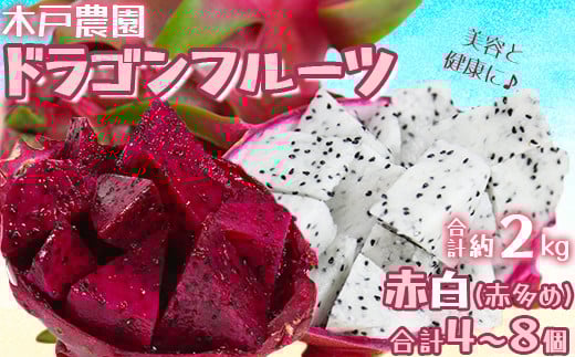 木戸農園のドラゴンフルーツ（赤3個・白1個） 計約2kg 先行予約 果物 フルーツ ＜113-009_5＞