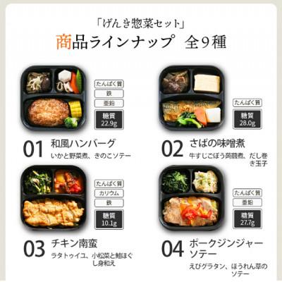 ふるさと納税 尼崎市 【冷凍惣菜】げんき惣菜9種セット/手作り・管理栄養士監修 |  | 01