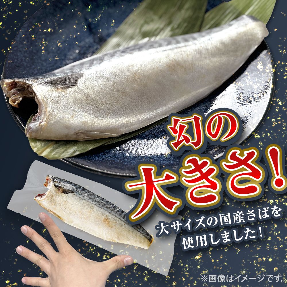 国産 塩さば フィーレ 約160～200g 5枚 サバフィレ 鯖 サバ さば フィレ 切り身 塩サバ 特大 バラ凍結 冷凍 魚 魚介