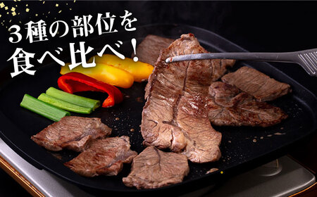 A4ランク 糸島牛 焼肉3種セット 600g 肩ロース ミスジ モモ (カタ) 糸島市 / 一番田舎 黒毛和牛 和牛 博多 和牛 肉 にく お肉 牛肉 焼肉 焼肉用 焼き肉 焼肉セット バーベキュー 