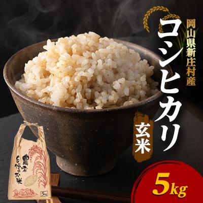 ふるさと納税 新庄村 【令和7年産】新米コシヒカリ 村の「一等米」(玄米5kg×1袋) 岡山県産のお米