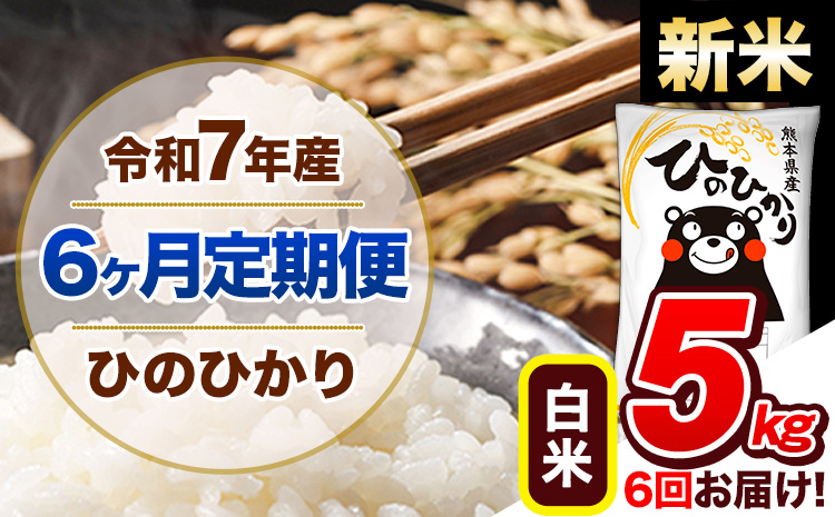 【6ヶ月定期便】新米 令和7年産 定期便 ひのひかり 5kg 《11月から出荷開始》熊本県産 ふるさと納税 白米 精米 ひの 米 こめ ふるさとのうぜい ヒノヒカリ コメ 熊本米 ひのもり