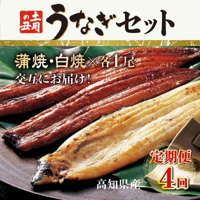 ふるさと納税 室戸市 蒲焼き・白焼きを交互にお届け!国産うなぎ1尾【全4回定期便】