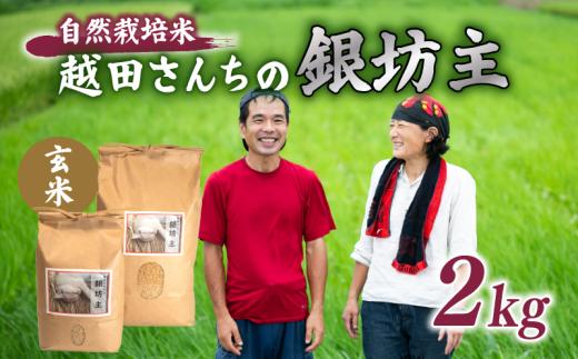 自然栽培米 越田さんちの銀坊主（玄米）2kg 令和7年産