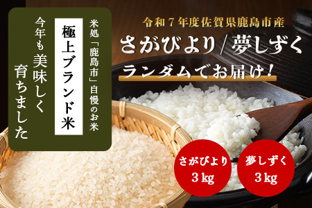 令和7年産 鹿島市産 [さがびよりor夢しずく] 3kg 1袋 【品種指定不可】 玄米 精米  B-889