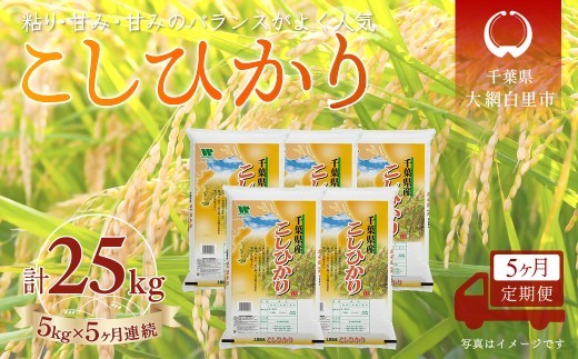 
                  ＜5か月定期便＞ 千葉県産「コシヒカリ」精米 5kg×5か月連続 計25kg
                
