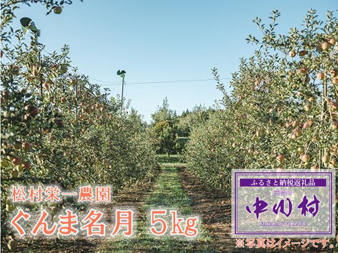
            フルーツガーデン松村のりんご　ぐんま名月　約５㎏
          