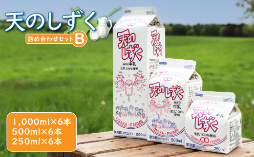 天のしずく　詰め合わせセットＢ(1000ml×6本・500ml×6本・250ml×6本,合計10.5L)　