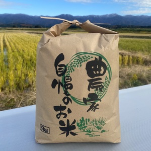 阿賀野市産 コシヒカリ 「のぼじーのお米」 100% 10kg (5kg×2袋) 7割減減 精米 白米 3J01031