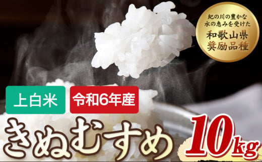 令和6年産 キヌムスメ 10kg 上白米 5kg×2 前田農園 《10月末-翌年1月上末頃出荷(土日祝除く)》和歌山県 紀の川市 米 白米 きぬむすめ 和歌山県奨励品種 上白米 