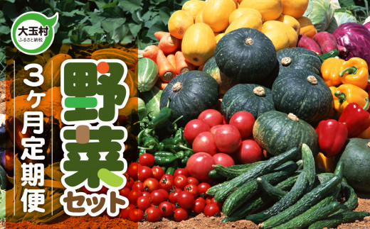 
野菜定期便 野菜セット 3ヶ月 3回 （毎回10種類前後発送） 【01107】野菜 新鮮 直売所 直送 詰め合わせ 定期便 旬 福島県 大玉村 詰め合わせ つめあわせ 詰合せ セット 冬野菜 冬 l 里芋 白菜 大根 小松菜 ほうれん草 ネギ にんじん しいたけ 春菊 かぶ
