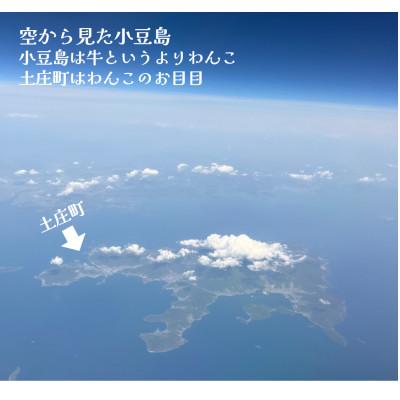 ふるさと納税 土庄町 搾りたて100%小豆島産三代松家オリーブオイル(エキストラバージンオイル)67ml濾過1本 |  | 03