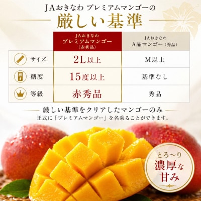 【2026年6月から順次発送】糖度15度以上!JAおきなわが厳正したプレミアムマンゴー4玉【配送不可地域：離島】