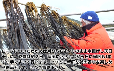 紀州衣奈産乾燥わかめ 約150g×5パック（2025年産） 【SL46】【sml116B】