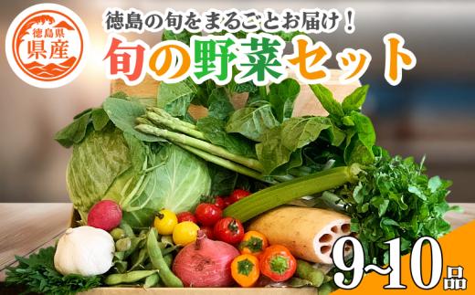 野菜 セット 9～10品 単品 季節 旬 野菜 詰め合せ 国産 季節 旬 おまかせ 産地直送 春野菜 夏野菜 秋野菜 葉物 果物 果菜 根菜 冷蔵 野菜室 ダイエット 食 栄養食 加工品 カット野菜