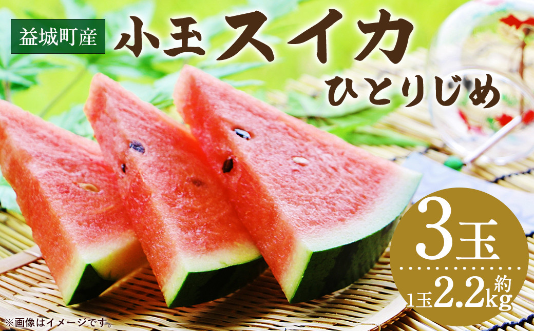 
益城町産 スイカ 小玉 ひとりじめ 3玉 6.5kg以上 【2024年5月下旬～6月上旬発送予定】

