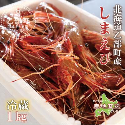 ふるさと納税 乙部町 <シマエビ(冷蔵)　1kg>甘く濃厚な味わい! 北海道 道産 国産 乙部町産 しまえび 海老 日本海