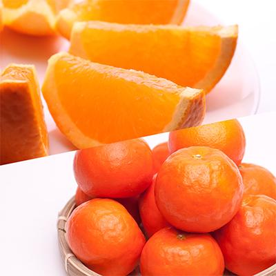 ふるさと納税 美浜町 【発送月固定定期便】季節の柑橘定期便A【フルーツ定期便】【和歌山県有田】全6回 |  | 03