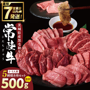 常陸牛5種焼肉セット希少部位入り　(２～３人前 500g）（NW-12）