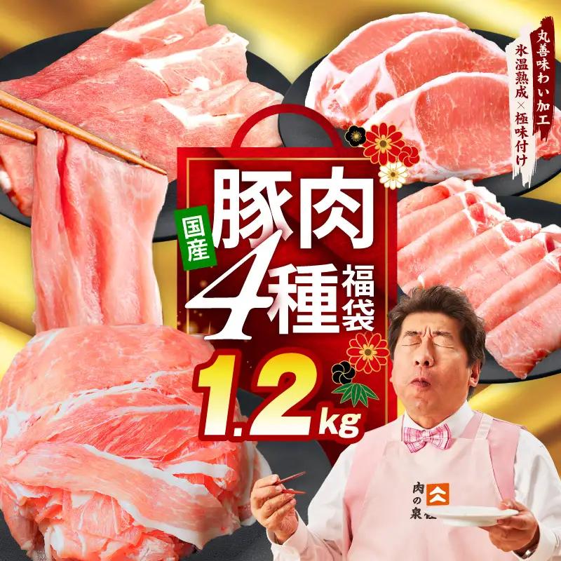 国産 豚肉 4種 総量 1.2kg 豚肉