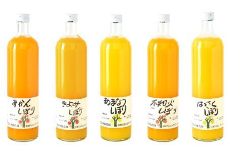 伊藤農園 5種みかんジュース大瓶（750ml）9本セット(B79-2)