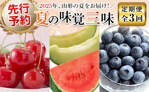 
            【先行予約（2025年度発送）】夏の味覚三昧（3回定期便） FSY-0333
          