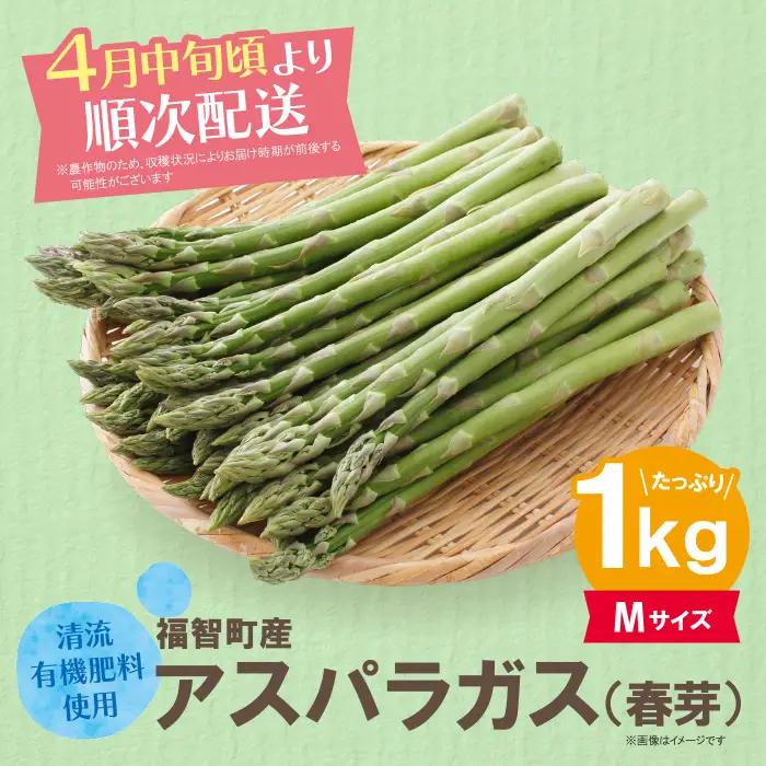 Z61-191-01 清流・有機肥料使用 アスパラガス(春芽) 1kg(M) 【2027年4月より順次配送開始】 