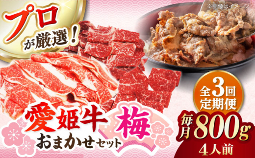 【全3回定期便】 牛肉 希少な国産ブランド牛！「愛姫牛」店主におまかせ旬セット【梅】 800g（4人前）愛媛県大洲市/有限会社 木村屋精肉店 [AGCC055] 小間切れ 角切り 赤身 牛肉 冷凍 冷凍肉 お肉