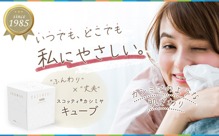 【ティッシュ】スコッティ カシミヤ キューブ 80組(1箱)×12箱