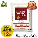 【ふるさと納税】【令和6年度産】【新米】お米 精米 ギフト【定期便】令和6年産 地物市場とれのさと ななつぼし5kg×12回 石狩市 ふるさと納税 北海道 米 特Aランク 北海道米 お米 白米 精米 北海道産 北海道産米 5キロ 60kg 60キロ