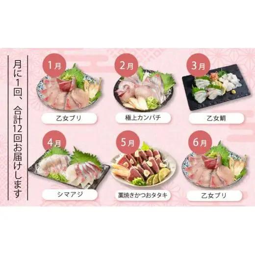【 刺身 】 刺身定期便 12ヶ月