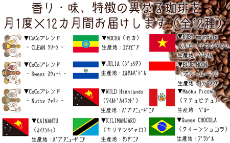 【宝塚】12ヶ月の定期便（当日自家焙煎珈琲豆・全12種）mini【豆】