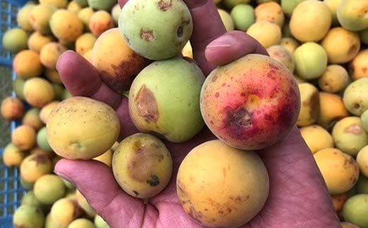 昔ながらの味 正子ばあちゃんの天日干し梅干し 塩分7% 150g×4パック F7X-0009