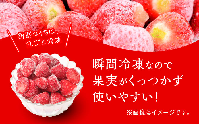 福岡県産【博多冷凍あまおう】約500g×2袋 合計約1kg《築上町》【株式会社H&Futures】[ABDG005]