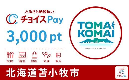 
            苫小牧市チョイスPay 3,000pt【会員限定のお礼の品】
          