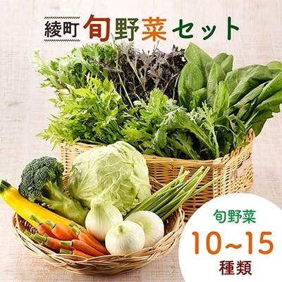 ふるさと納税 綾町 【毎月定期便】綾町旬野菜ギフト Lサイズ全3回