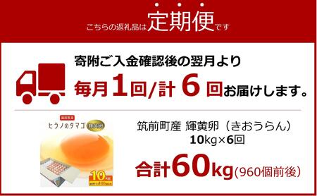 【定期便6回】ヒラノのたまご【輝黄卵(きおうらん)】赤Mサイズ10kg(160個前後)
